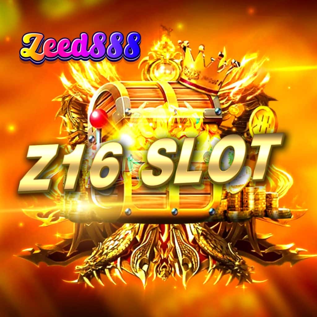 Z16 slot